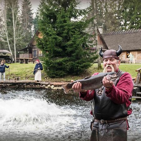 Viikingite Kuela Saula Kültér fotó